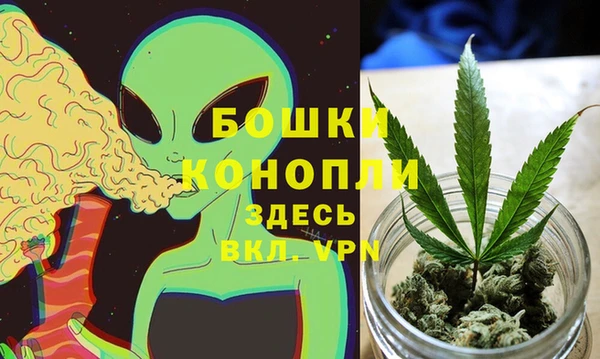 спайс Беломорск
