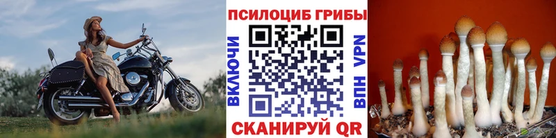 Купить Усинск Галлюциногенные грибы прущие грибы